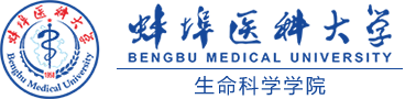 网络赌博网站
